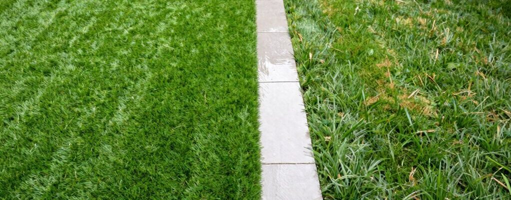 cost comparison over decade